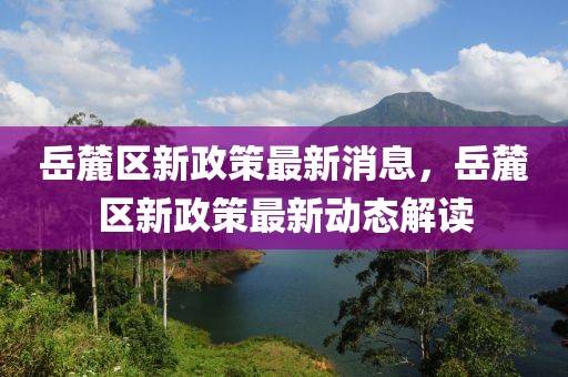 岳麓區(qū)新政策最新消息，岳麓區(qū)新政策最新動(dòng)態(tài)解讀
