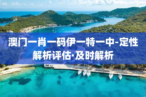 澳門一肖一碼伊一特一中-定性解析評(píng)估·及時(shí)解析