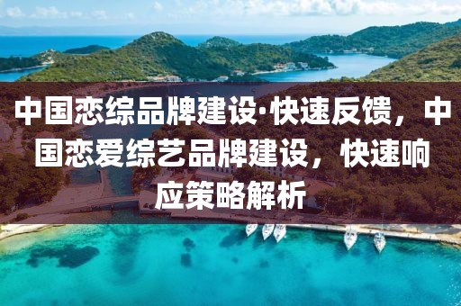 中國戀綜品牌建設(shè)·快速反饋，中國戀愛綜藝品牌建設(shè)，快速響應(yīng)策略解析