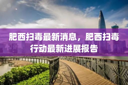 肥西掃毒最新消息，肥西掃毒行動最新進展報告