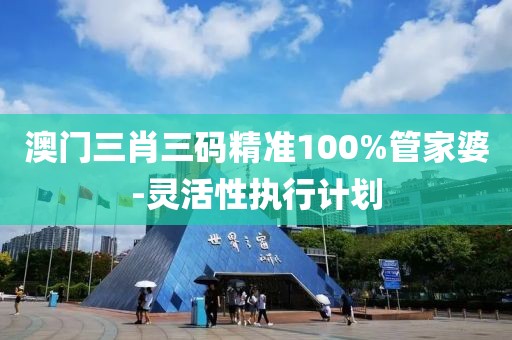 澳門三肖三碼精準100%管家婆-靈活性執(zhí)行計劃