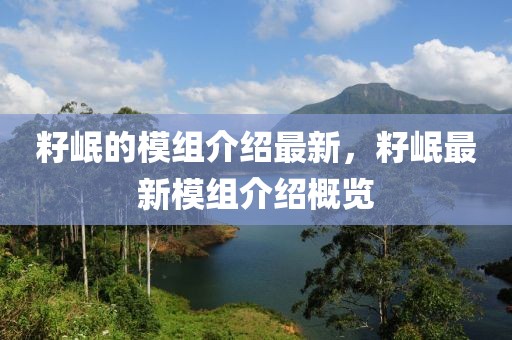 籽岷的模組介紹最新，籽岷最新模組介紹概覽