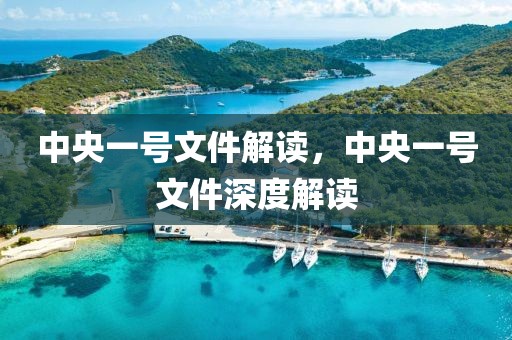 中央一號(hào)文件解讀，中央一號(hào)文件深度解讀