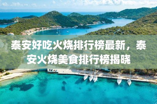 泰安好吃火燒排行榜最新，泰安火燒美食排行榜揭曉
