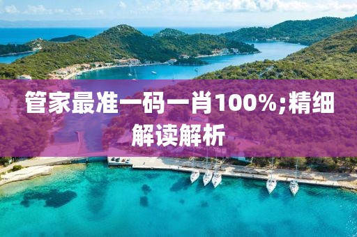 管家最準(zhǔn)一碼一肖100%;精細(xì)解讀解析