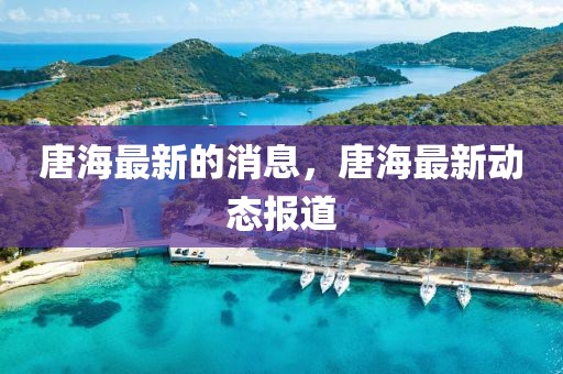 唐海最新的消息，唐海最新動(dòng)態(tài)報(bào)道