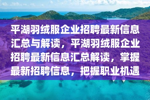 平湖羽絨服企業(yè)招聘最新信息匯總與解讀，平湖羽絨服企業(yè)招聘最新信息匯總解讀，掌握最新招聘信息，把握職業(yè)機(jī)遇