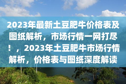 2023年最新土豆肥牛價(jià)格表及圖紙解析，市場行情一網(wǎng)打盡！，2023年土豆肥牛市場行情解析，價(jià)格表與圖紙深度解讀