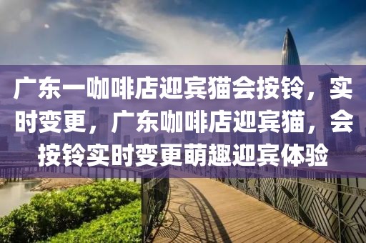 廣東一咖啡店迎賓貓會(huì)按鈴，實(shí)時(shí)變更，廣東咖啡店迎賓貓，會(huì)按鈴實(shí)時(shí)變更萌趣迎賓體驗(yàn)