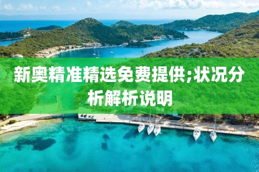 新奧精準精選免費提供;狀況分析解析說明