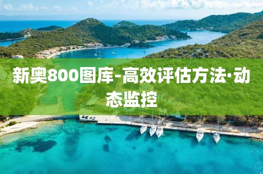 新奧800圖庫-高效評估方法·動態(tài)監(jiān)控