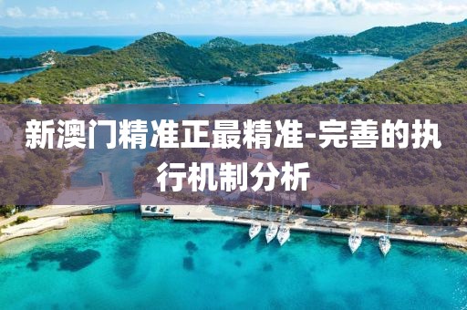 新澳門精準(zhǔn)正最精準(zhǔn)-完善的執(zhí)行機(jī)制分析