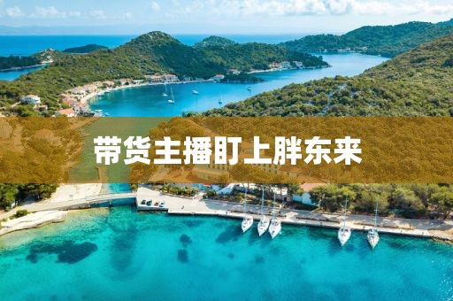 帶貨主播盯上胖東來(lái)