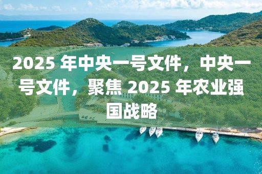 2025 年中央一號文件，中央一號文件，聚焦 2025 年農業(yè)強國戰(zhàn)略