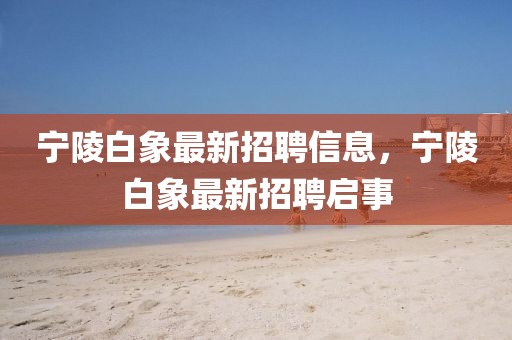 寧陵白象最新招聘信息，寧陵白象最新招聘啟事