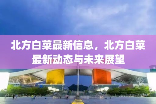 北方白菜最新信息，北方白菜最新動(dòng)態(tài)與未來(lái)展望