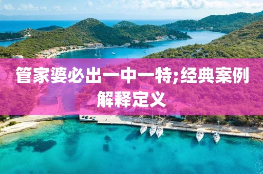 管家婆必出一中一特;經(jīng)典案例解釋定義