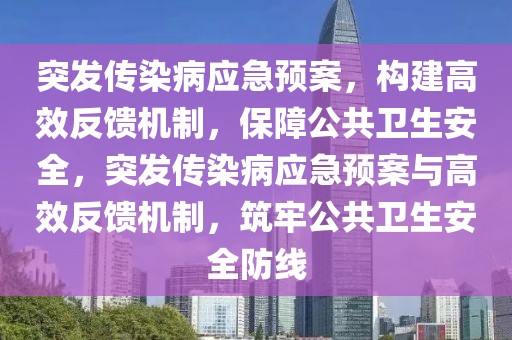 突發(fā)傳染病應(yīng)急預(yù)案，構(gòu)建高效反饋機制，保障公共衛(wèi)生安全，突發(fā)傳染病應(yīng)急預(yù)案與高效反饋機制，筑牢公共衛(wèi)生安全防線