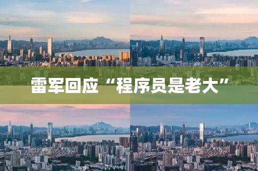 雷軍回應(yīng)“程序員是老大”