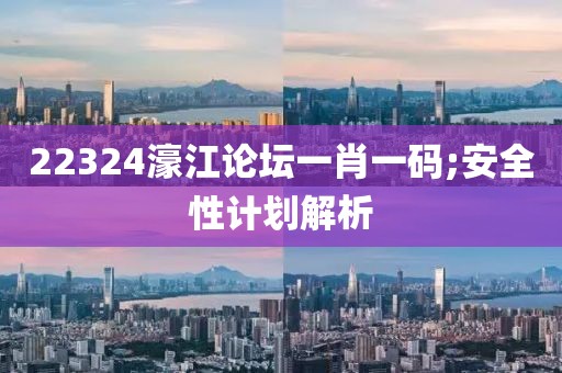 22324濠江論壇一肖一碼;安全性計劃解析