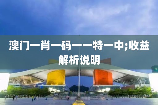 澳門一肖一碼一一特一中;收益解析說明