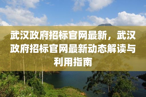 武漢政府招標(biāo)官網(wǎng)最新，武漢政府招標(biāo)官網(wǎng)最新動(dòng)態(tài)解讀與利用指南
