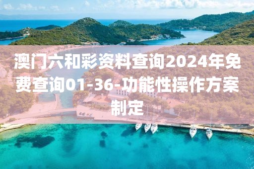 澳門(mén)六和彩資料查詢2024年免費(fèi)查詢01-36-功能性操作方案制定