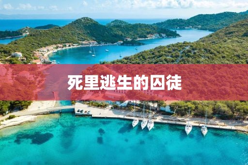 死里逃生的囚徒