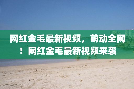 網(wǎng)紅金毛最新視頻，萌動全網(wǎng)！網(wǎng)紅金毛最新視頻來襲