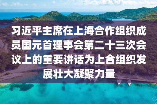 習(xí)近平主席在上海合作組織成員國(guó)元首理事會(huì)第二十三次會(huì)議上的重要講話為上合組織發(fā)展壯大凝聚力量