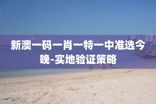 新澳一碼一肖一特一中準(zhǔn)選今晚-實(shí)地驗(yàn)證策略