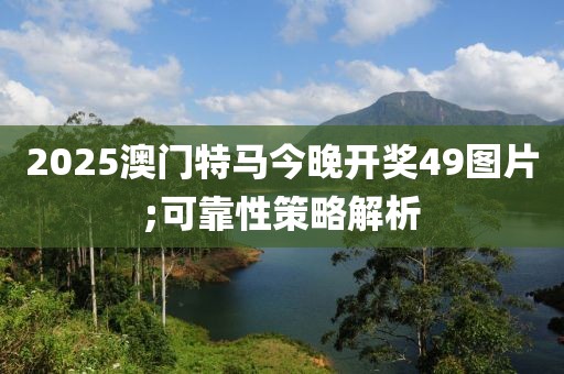 2025澳門特馬今晚開獎49圖片;可靠性策略解析