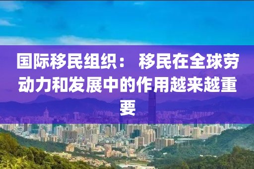 國際移民組織： 移民在全球勞動力和發(fā)展中的作用越來越重要