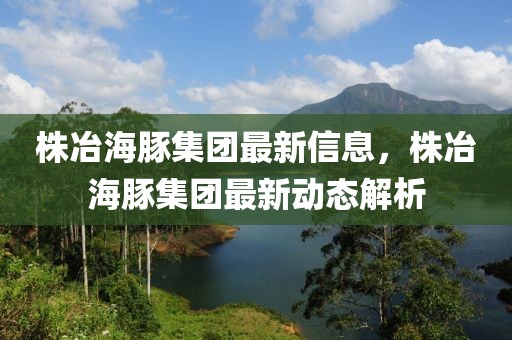 株冶海豚集團(tuán)最新信息，株冶海豚集團(tuán)最新動(dòng)態(tài)解析