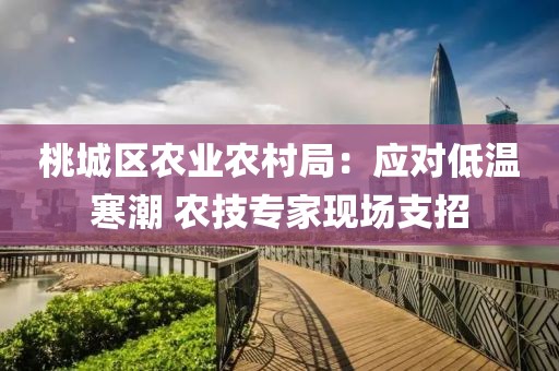 桃城區(qū)農(nóng)業(yè)農(nóng)村局：應(yīng)對(duì)低溫寒潮 農(nóng)技專家現(xiàn)場(chǎng)支招