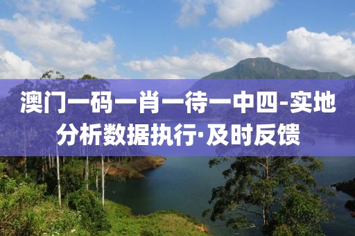 澳門一碼一肖一待一中四-實(shí)地分析數(shù)據(jù)執(zhí)行·及時(shí)反饋