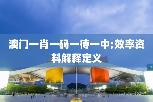 澳門一肖一碼一待一中;效率資料解釋定義