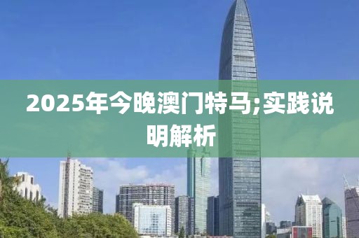 2025年今晚澳門特馬;實踐說明解析