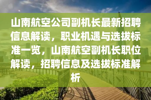 山南航空公司副機長最新招聘信息解讀，職業(yè)機遇與選拔標準一覽，山南航空副機長職位解讀，招聘信息及選拔標準解析