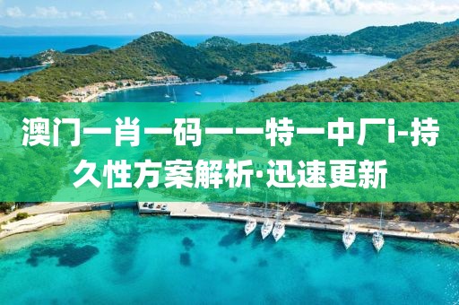 澳門一肖一碼一一特一中廠i-持久性方案解析·迅速更新