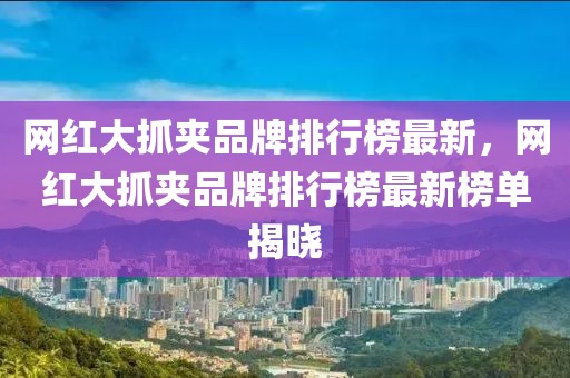 網(wǎng)紅大抓夾品牌排行榜最新，網(wǎng)紅大抓夾品牌排行榜最新榜單揭曉