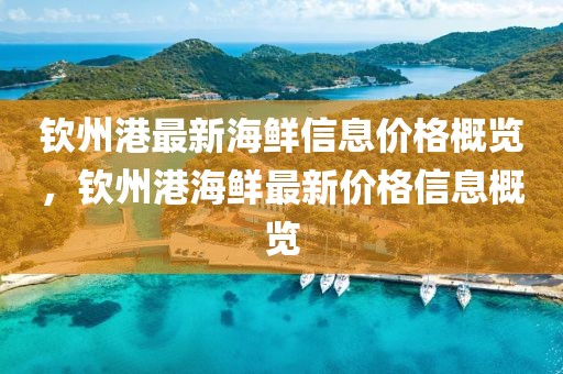 欽州港最新海鮮信息價格概覽，欽州港海鮮最新價格信息概覽