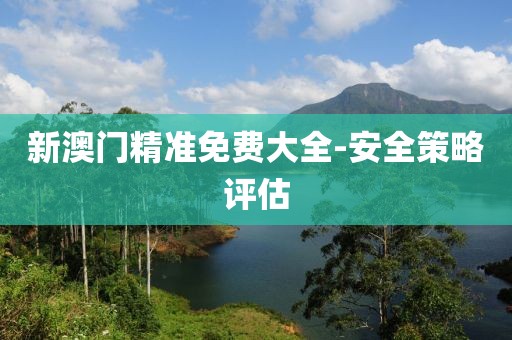 新澳門精準免費大全-安全策略評估