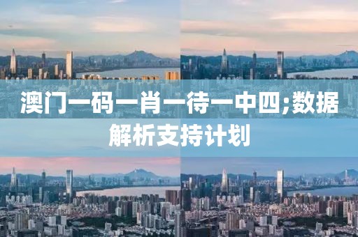 澳門(mén)一碼一肖一待一中四;數(shù)據(jù)解析支持計(jì)劃