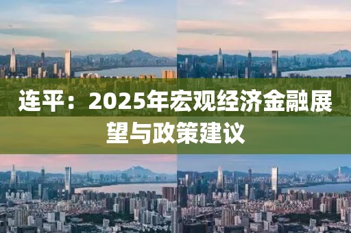 連平：2025年宏觀經(jīng)濟(jì)金融展望與政策建議