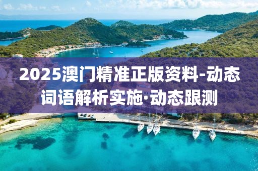 2025澳門精準(zhǔn)正版資料-動(dòng)態(tài)詞語解析實(shí)施·動(dòng)態(tài)跟測