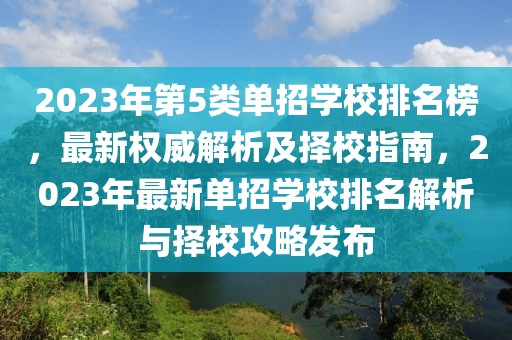 2023年第5類單招學(xué)校排名榜，最新權(quán)威解析及擇校指南，2023年最新單招學(xué)校排名解析與擇校攻略發(fā)布