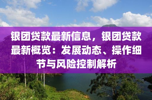 銀團貸款最新信息，銀團貸款最新概覽：發(fā)展動態(tài)、操作細節(jié)與風險控制解析