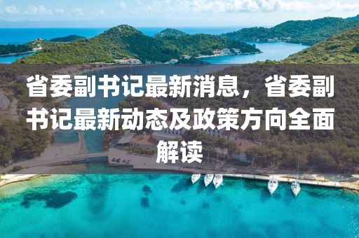 省委副書記最新消息，省委副書記最新動(dòng)態(tài)及政策方向全面解讀