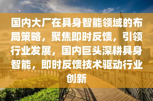 國內(nèi)大廠在具身智能領(lǐng)域的布局策略，聚焦即時反饋，引領(lǐng)行業(yè)發(fā)展，國內(nèi)巨頭深耕具身智能，即時反饋技術(shù)驅(qū)動行業(yè)創(chuàng)新